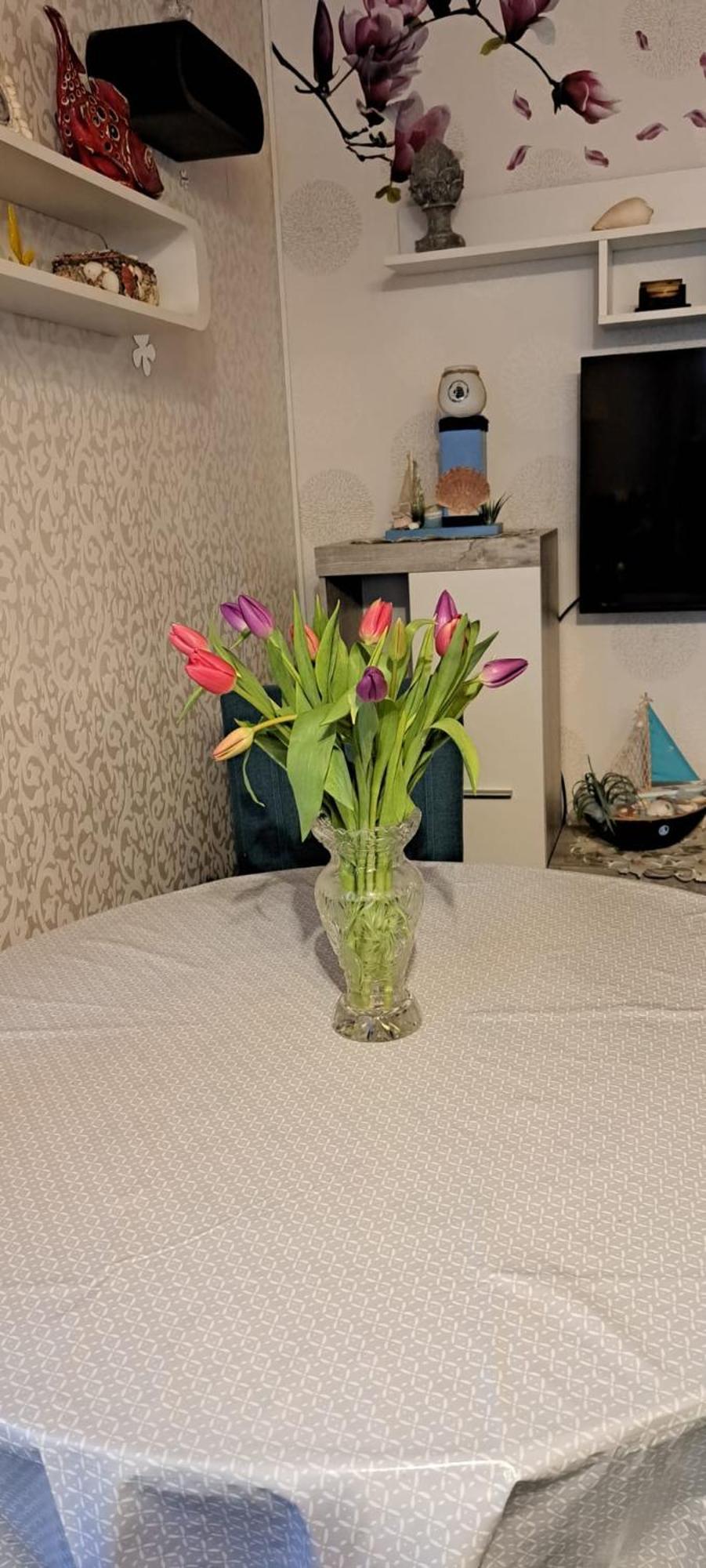 Fewo Seerose زيمبين المظهر الخارجي الصورة